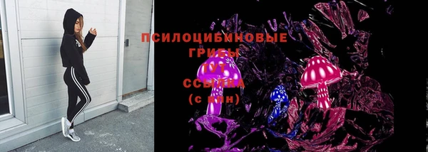 a pvp Няндома