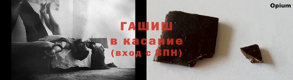 стафф Новокубанск