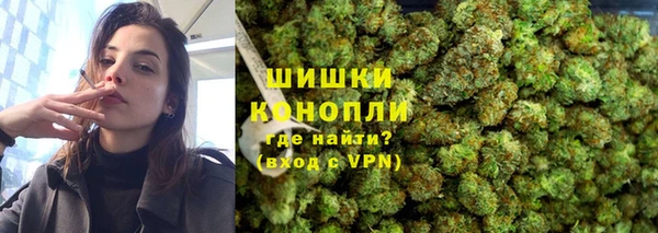 шишки Нязепетровск