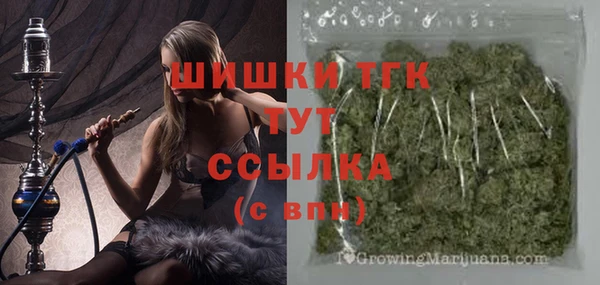 стафф Новокубанск