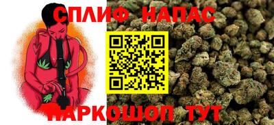 молекула духа Гагарин