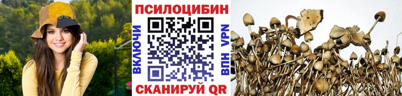 даркнет клад  Кашира  Галлюциногенные грибы Magic Shrooms  купить наркотики цена 