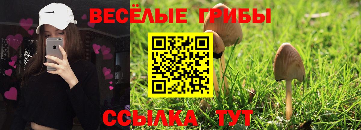 Псилоцибиновые грибы мухоморы  Кашира  Псилоцибиновые грибы мицелий 